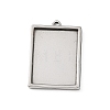 304 Stainless Steel Pendants STAS-Z201-05P-1