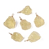Raw Rough Natural Yellow Quartz(Heated) Big Pendants G-Q606-07-1