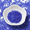 8/0 Glass Seed Beads SEED-Z001-C-E06-2