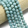 Natural Malaysia Jade Beads Strands G-L645-A01-14mm-25-4