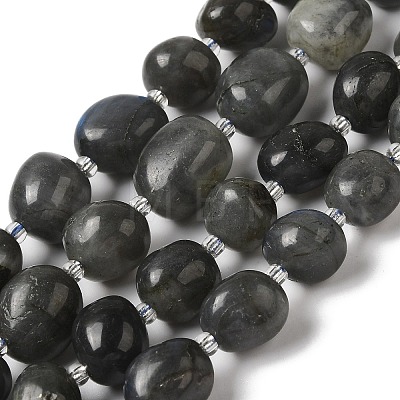 Natural Larvikite Beads Strands G-Q169-E05-01-1