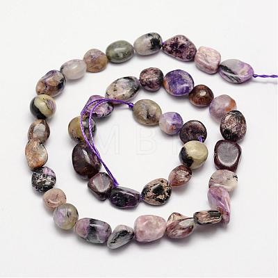 Natural Charoite Bead Strands G-L459-02-1