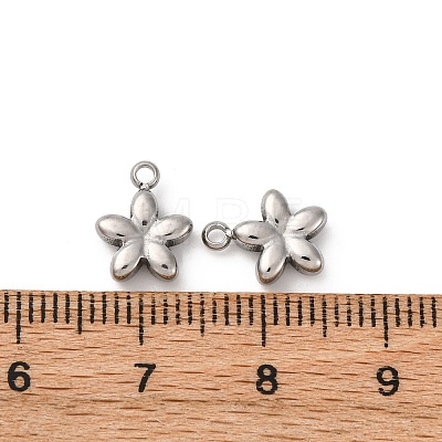 304 Stainless Steel Charms STAS-L022-521P-1
