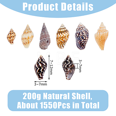 DICOSMETIC 1550Pcs Natural Spiral Shell Beads SSHEL-DC0001-04-1