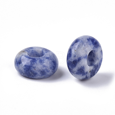 Natural Blue Spot Jasper European Beads X-G-Q503-09-1