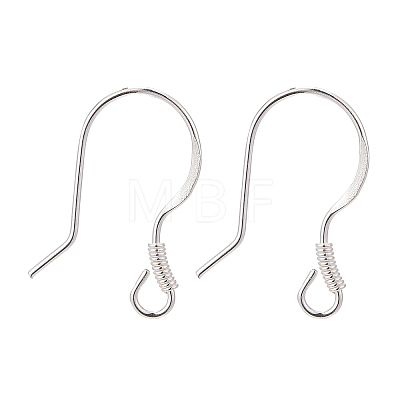 925 Sterling Silver Earring Hooks STER-G011-22-1