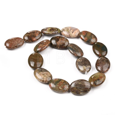 Natural Ocean Jasper Beads Strands G-L164-B-20-1