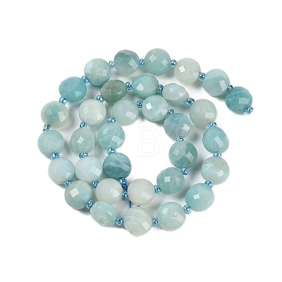 Natural Amazonite Beads Strands G-B094-A09-01-1