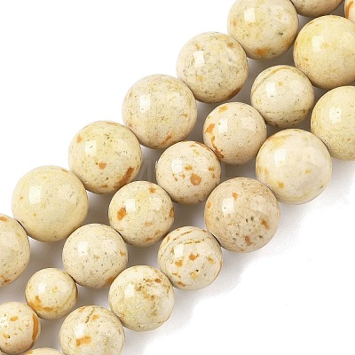 Natural Fossil Graduated Beads Strands G-F830-A03-01A-1
