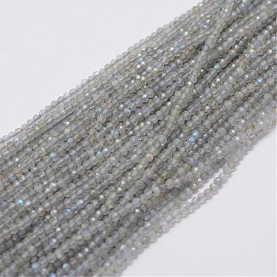 Natural Labradorite Beads Strands G-E347-14-1