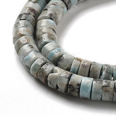 Natural Larimar Beads Strands G-Q024-B03-03-1