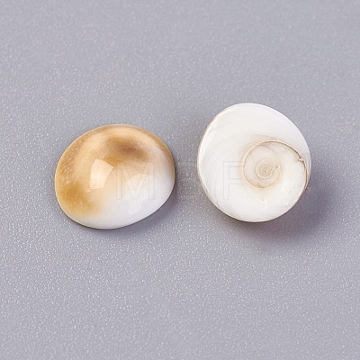 Shiva Eye Shell Beads BSHE-I008-12-1