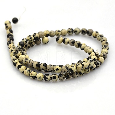 Round Natural Dalmatian Jasper Beads Strands G-N0120-23-4mm-1