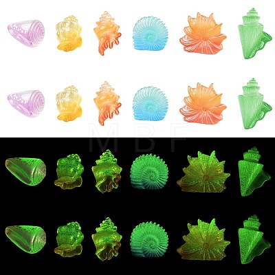 30Pcs 6 Styles Luminous Resin Conch Display Decorations DJEW-CJ0001-37-1