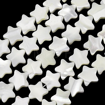 Natural Trochid Shell/Trochus Shell Beads Strands SH-CBA2978-17B-1