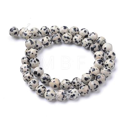 Natural Dalmatian Jasper Bead Strands G-R345-6mm-51-1