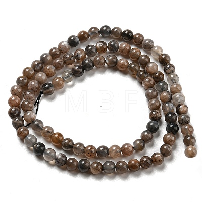 Natural Black Moonstone Beads Strands G-A219-A01-01-1