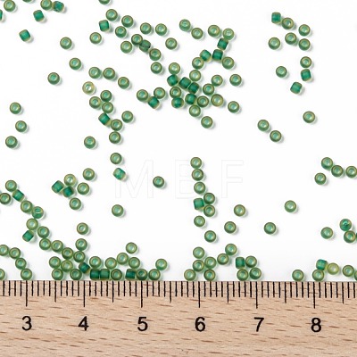 TOHO Round Seed Beads SEED-JPTR11-0242FM-1