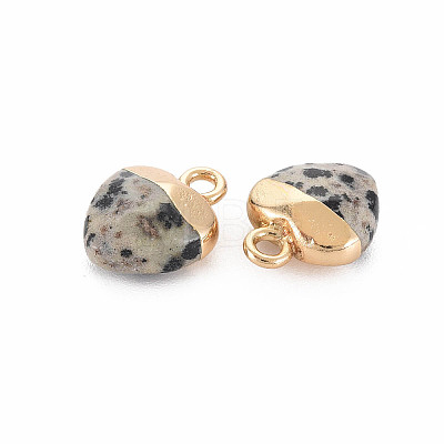 Natural Dalmatian Jasper Charms LS-G-N326-121-01-1