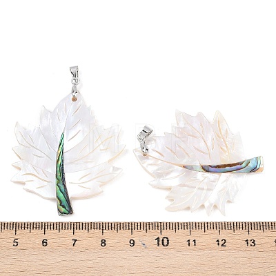 Natural Paua Shell & White Shell Pendants KK-C135-03P-1