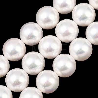 Electroplated Shell Pearl Graduated Beads Strands BSHE-C011-04-1