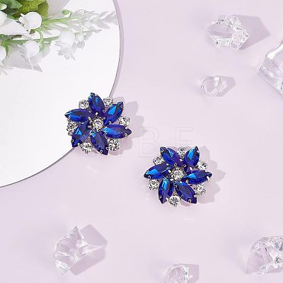 2Pcs Detachable Flower Glass Rhinestone Shoe Decoration AJEW-FG0001-99-1