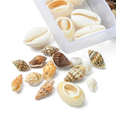 6 Styles Natural Mixed Cowrie Shell Beads Sets BSHE-YW0001-05-1