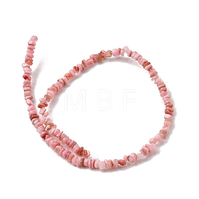 Natural Freshwater Shell Beads SHEL-B003-01N-1