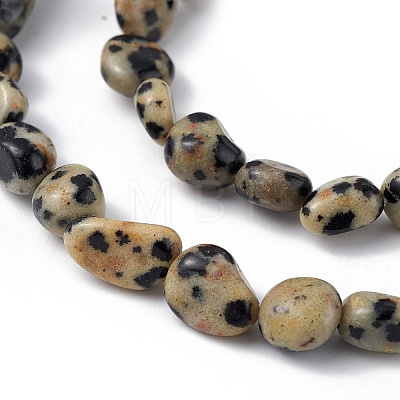 Natural Dalmatian Jasper Beads Strands G-B039-03B-1