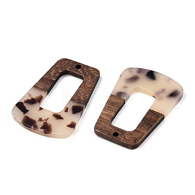 Transparent Resin & Walnut Wood Pendants RESI-TAC0017-72-B02-1