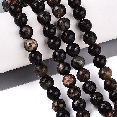 Natural Biotite Beads Strands G-Q616-01C-1