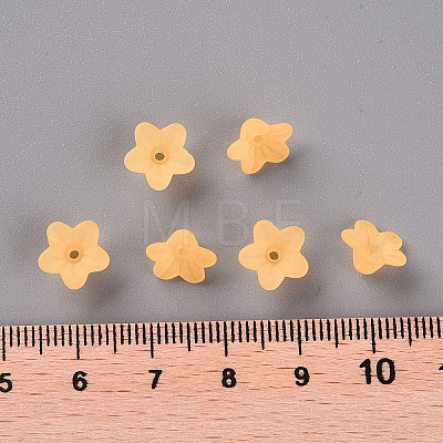 Transparent Acrylic Beads LS-X-PL554-07-1