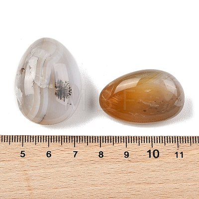 Natural Ocean Jasper Beads G-G348-01B-38-1