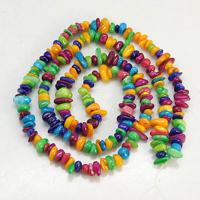 Natural Shell Beads Strands X-BSHE-D004-2-1