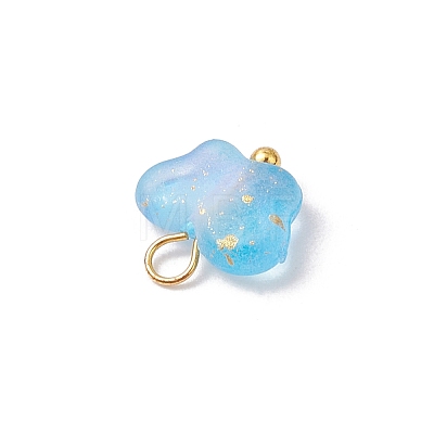 Frosted Acrylic Charms PALLOY-JF03325-02-1