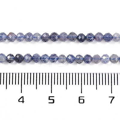 Natural Iolite Beads Strands G-N342-32-1