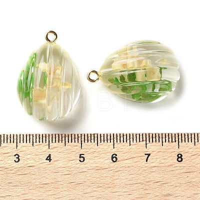 Inner Dried Flower Transparent Resin Pendants RESI-A043-06A-1