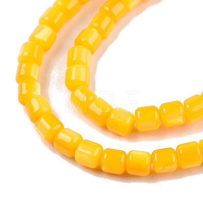 Natural Freshwater Shell Beads Strands SHEL-N003-33-A08-1