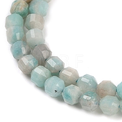 Natural Amazonite Beads Strands G-O201B-102A-1