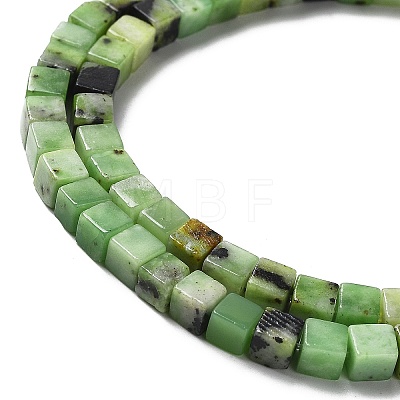 Natural Serpentine Beads Strands G-L585-C01-01-1
