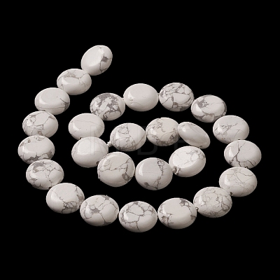 Natural Howlite Beads Strands G-M403-C07-1