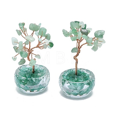 Natural Green Aventurine Chip Pachira Glabra Display Decorations DJEW-K025-04B-1