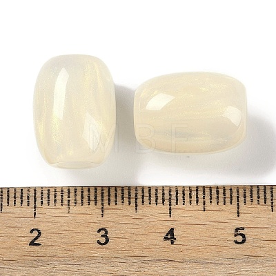 Resin European Beads RESI-F055-11G-1