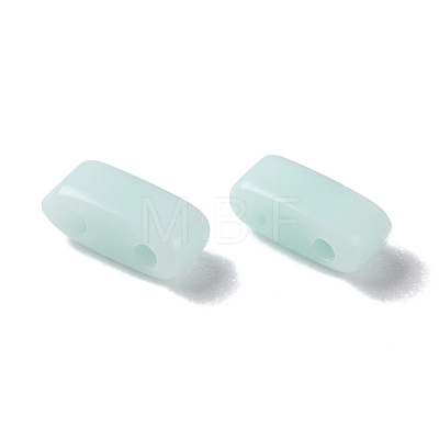 Opaque Acrylic Slide Charms OACR-Z010-02L-1