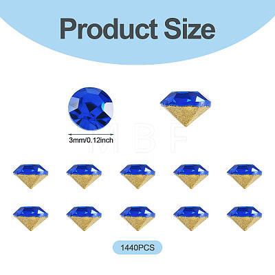 1 Bag Pointed Back Glass Rhinestone Cabochons RGLA-TADJ0001-01B-09-1