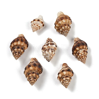 Natural Spiral Shell Beads SHEL-K009-17C-1