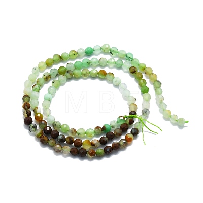 Natural Chrysoprase Beads Strands G-P457-A02-28-1
