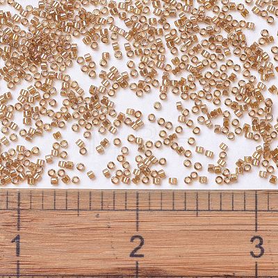 MIYUKI Delica Beads X-SEED-J020-DB1241-1