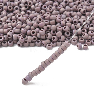 TOHO 6/0 Round Beads SEED-XTR06-0412F-1