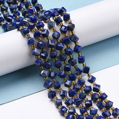Natural Lapis Lazuli Beads Strands G-P463-25-1